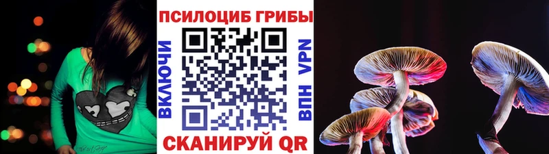 Галлюциногенные грибы MAGIC MUSHROOMS  blacksprut ссылка  Курчалой 