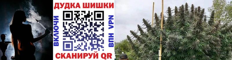 мега   что такое наркотик  Курчалой  Марихуана MAZAR 